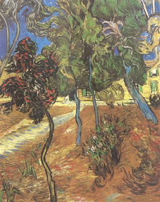 Vincent Van Gogh Trees in the Garden of Saint-Paul Hospital (nn04) Spain oil painting art